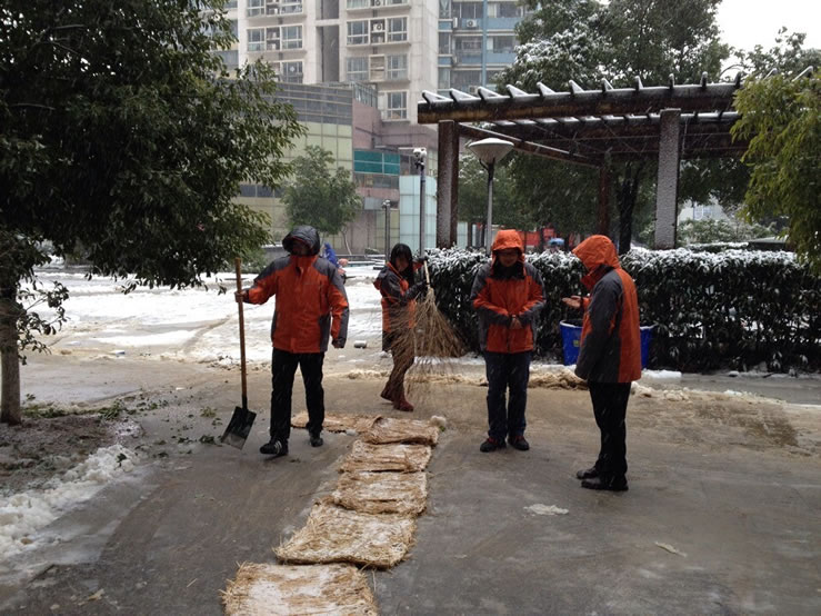 公司组织员工义务扫雪